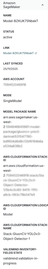 Screenshot of the model linked to AWS SageMaker, showing the required fields described in step 4.